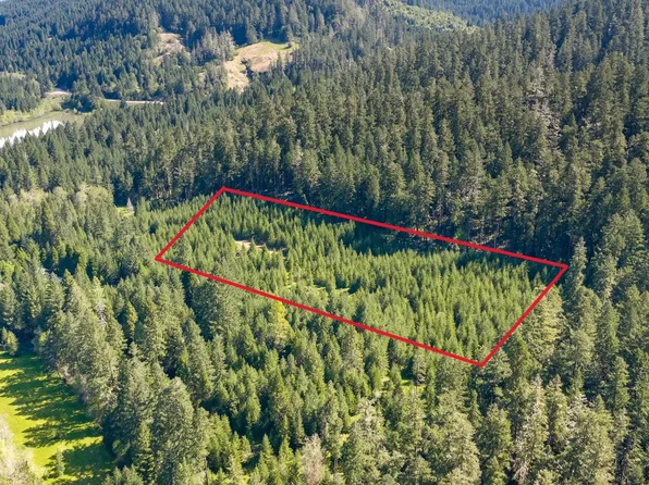 Berry Creek Rd, Winston, OR 97496