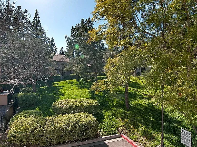 2 bed, 1246 sqft, $3,300 — Photo 3