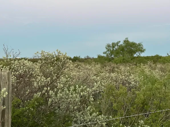 LOT 8 Calle Cocobolo, Del Rio, TX 78840
