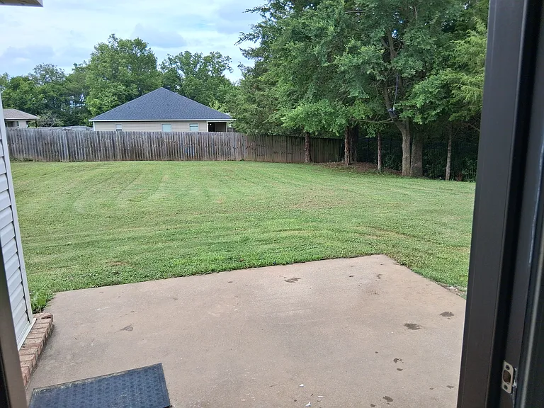 Back yard