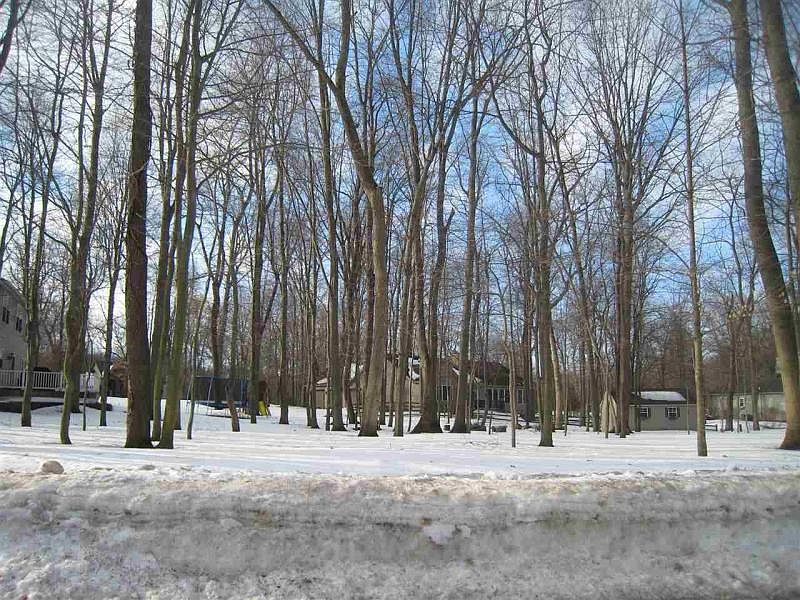 1st image of 50797 Hidden Forest Dr