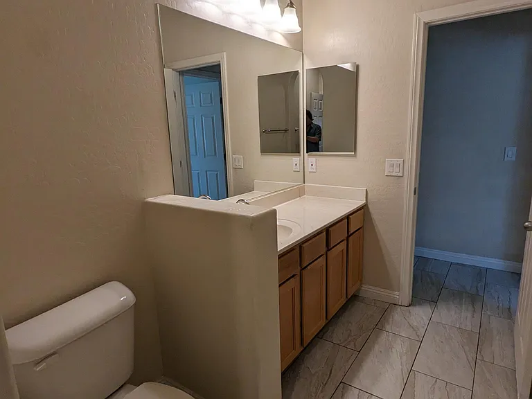 372 Windmill Croft Dr — Photo 19