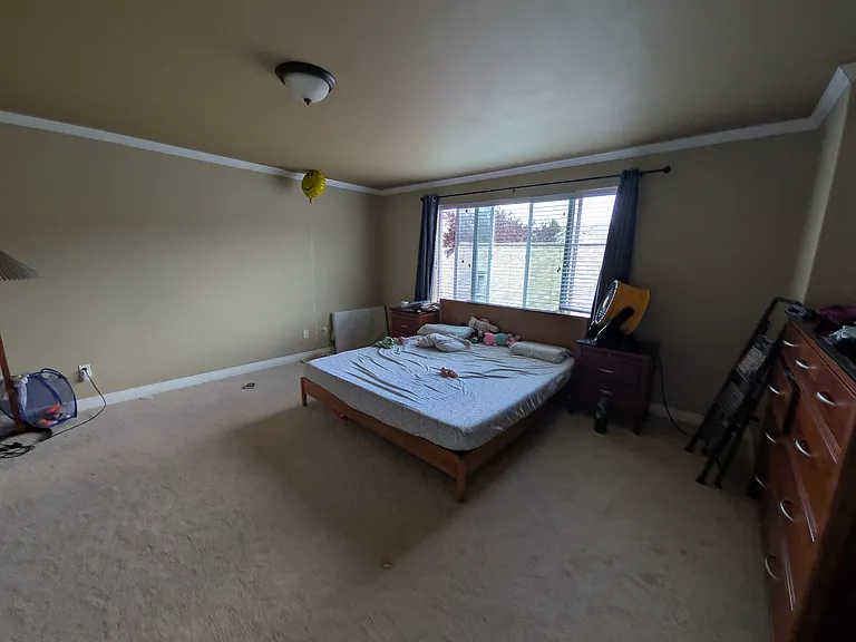 Master bedroom - east facing (gets a lot of sunlight in the morning).