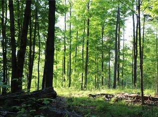 12104 Beartown Rd #1, Natural Bridge, NY 13665