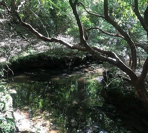 2nd image of 1099 State Route 108