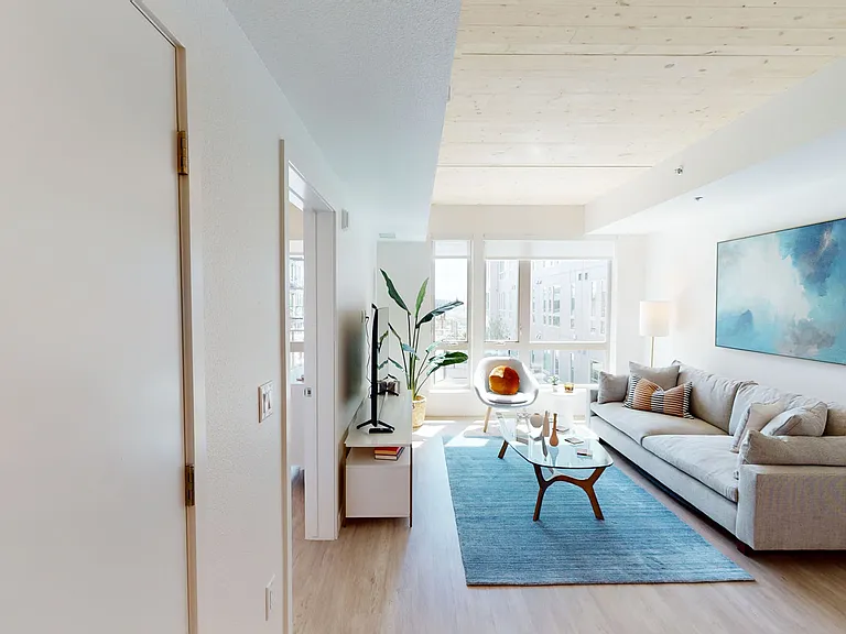 Cirrus — Photo 110