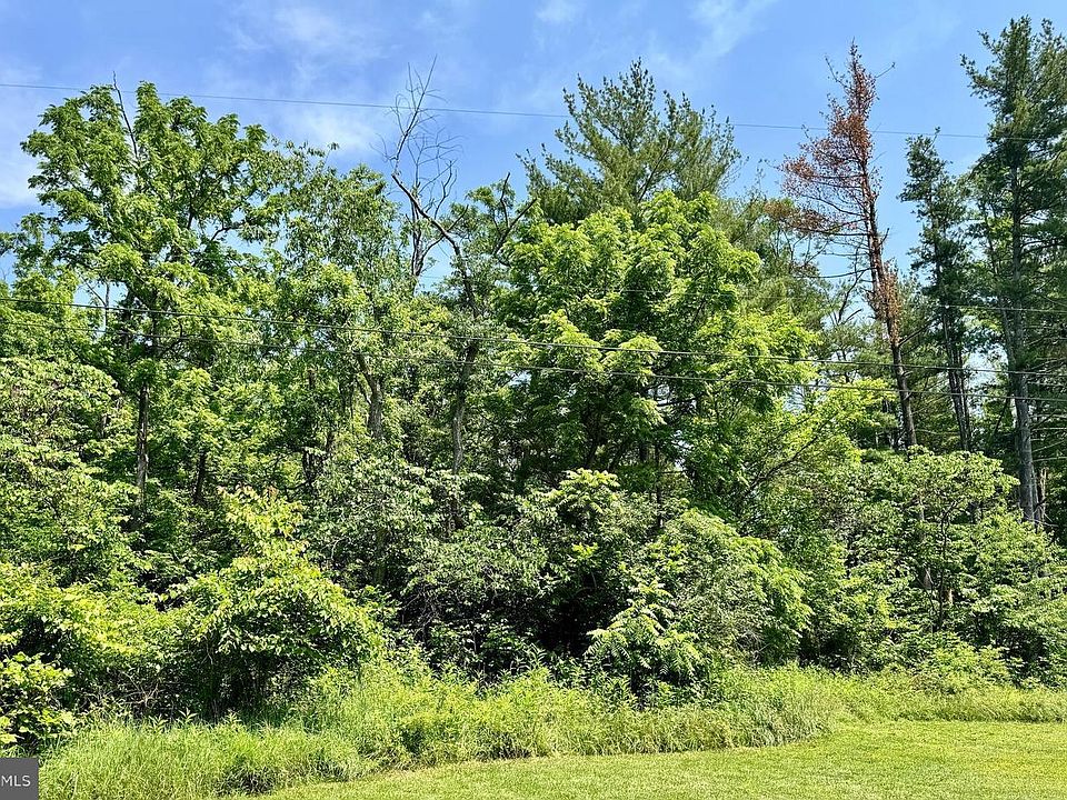 2nd image of Firtree Ln