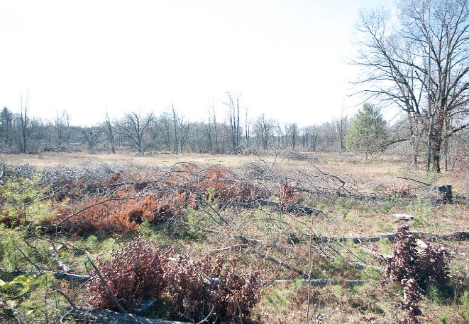2nd image of 0 N Jones Rd