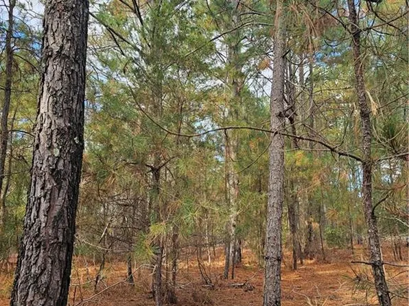 800 Windblow Rd Tract 9, Jackson Springs, NC 27281