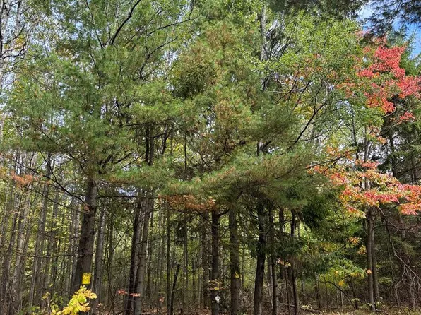 0 Burlingame Rd, Cayuta, NY 14824