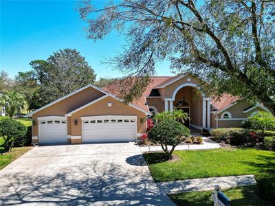 3918 S 9th Dr, Valrico, FL, 33596