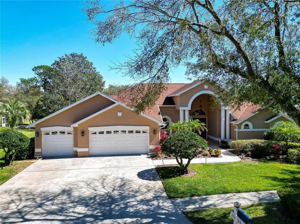 3918 S 9th Dr, Valrico, FL 33596