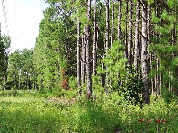 4th image of 36 Woody Acres Ct