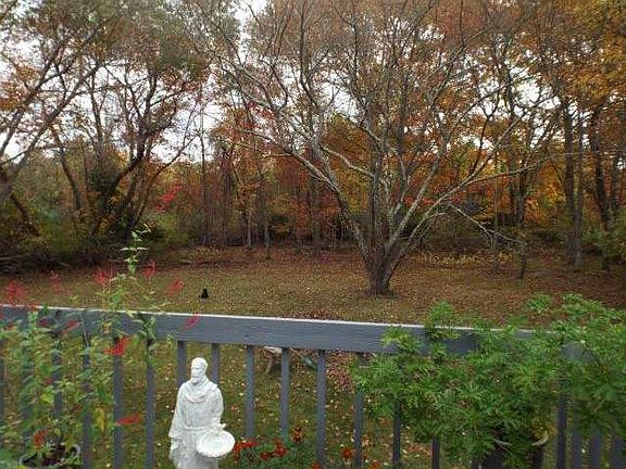 5th image of 62 White Horn Dr