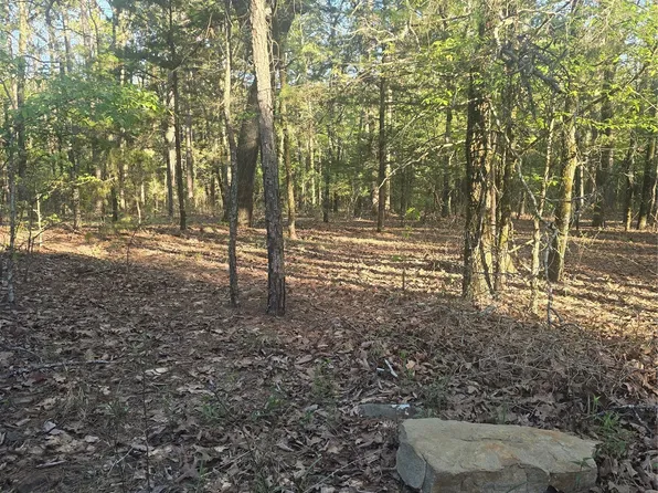 43 Buck Creek Trl, Moyers, OK 74557