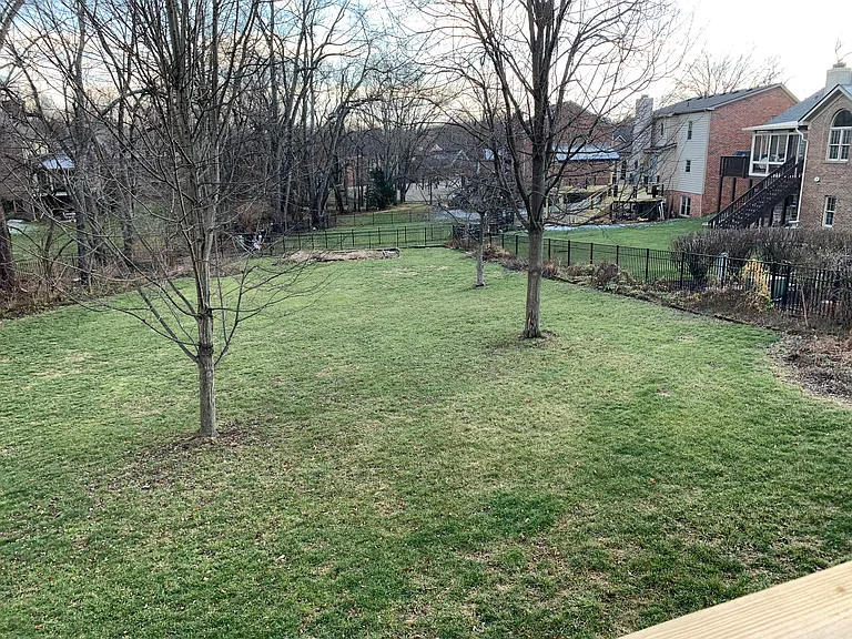 View of the yard from the deck