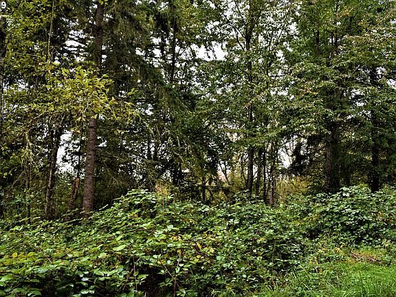 5th image of 85373 Holm Ln