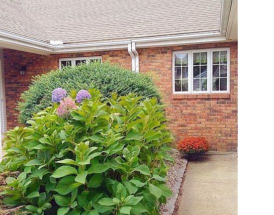 3rd image of 56 Rossetto Dr