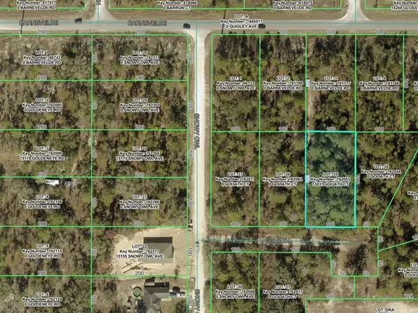 13031 GOLIATH COURT LOT 35, WEEKI WACHEE, FL 34614