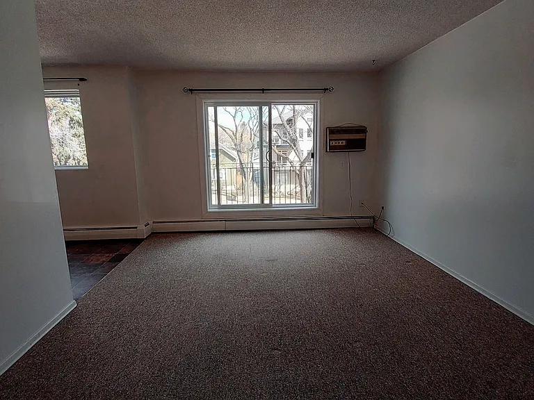 310 Clarence Ave S — Photo 12