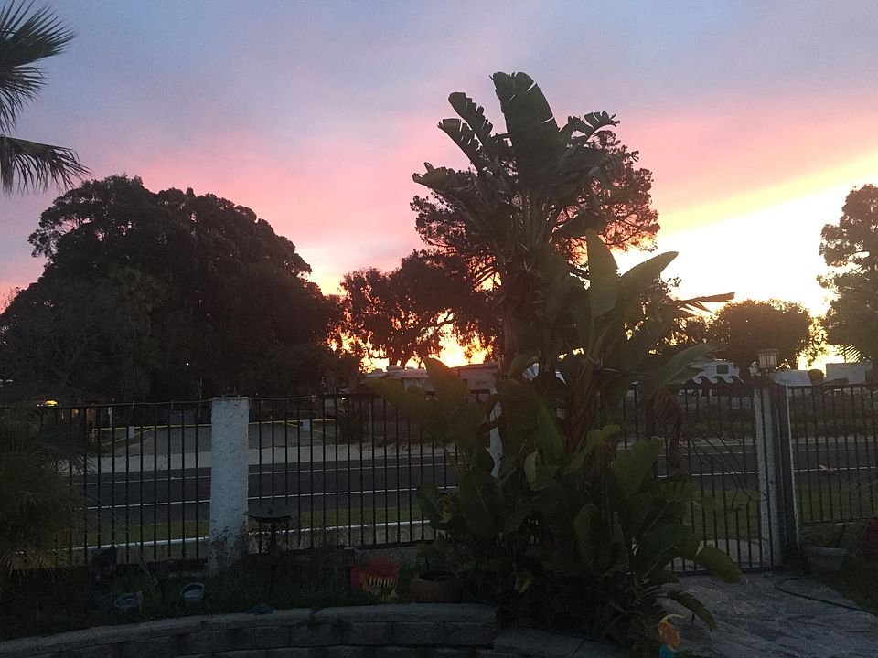 Oceano Sunsets