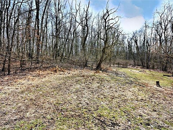 5th image of 260 Lonesome Hollow Ln