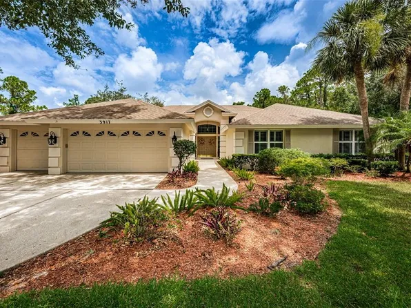 3917 Saywood Ct, Palm Harbor, FL 34685