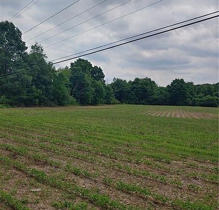 4th image of 49 Georgetown Rd