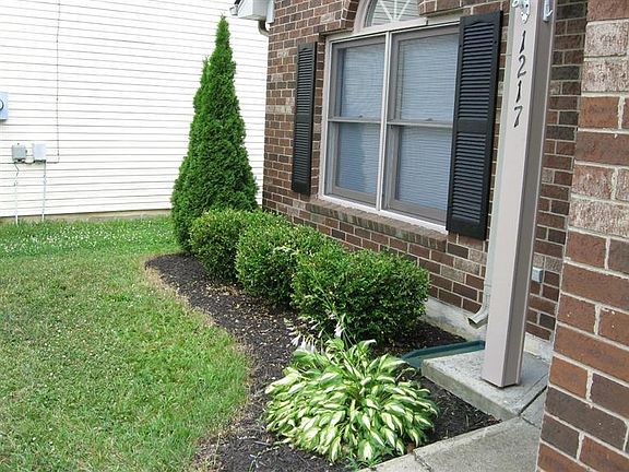 3rd image of 1217 Red Stone Dr
