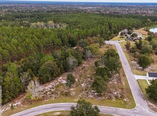 177 Northshore Ave, Ave, GA 31545