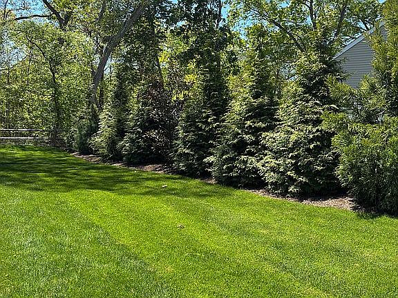 2nd image of 77 Maple Wood Ln