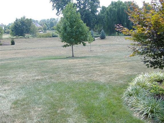 Portion of Back Yard