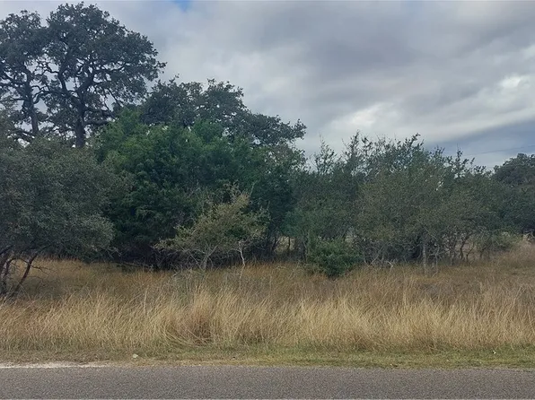 118 Frank Jones, Blanco, TX 78606