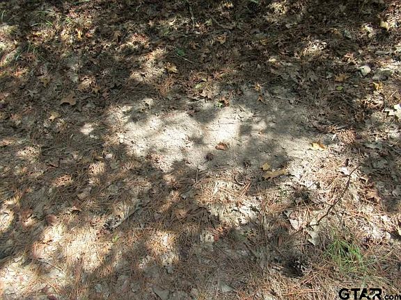 5th image of 46.27 Ac Cres #4197