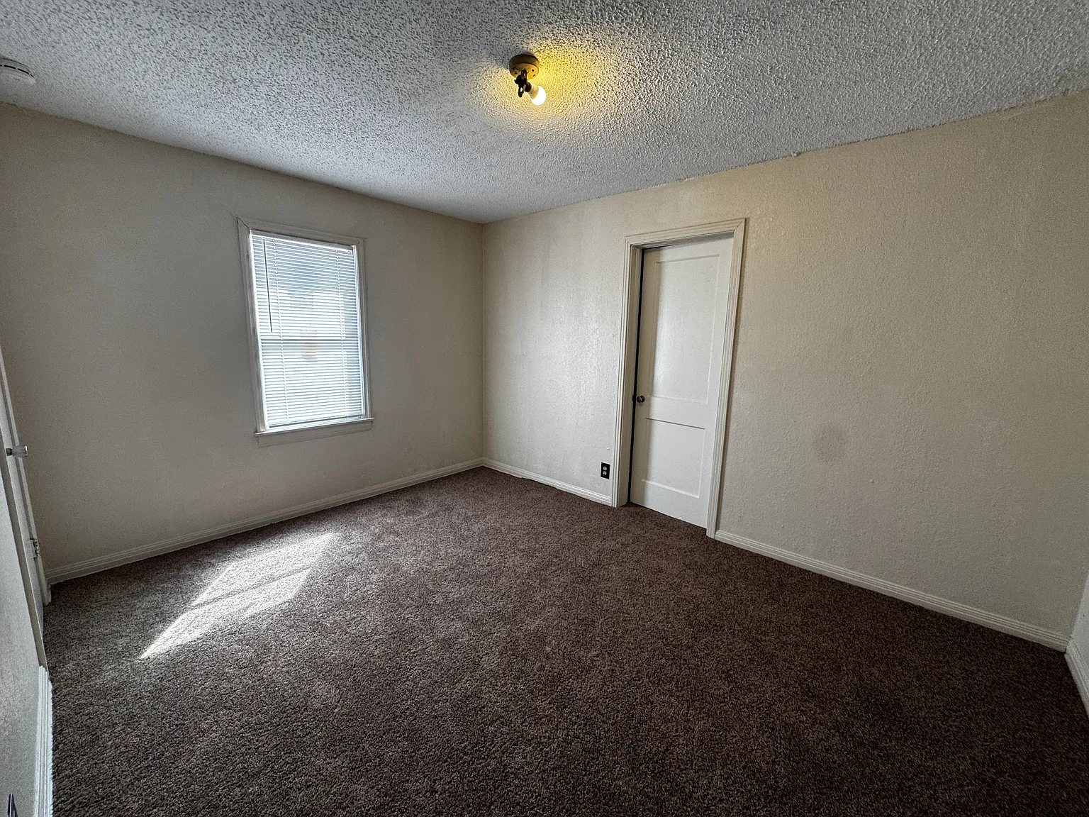 4220 Broaddus - 3 — Photo 4