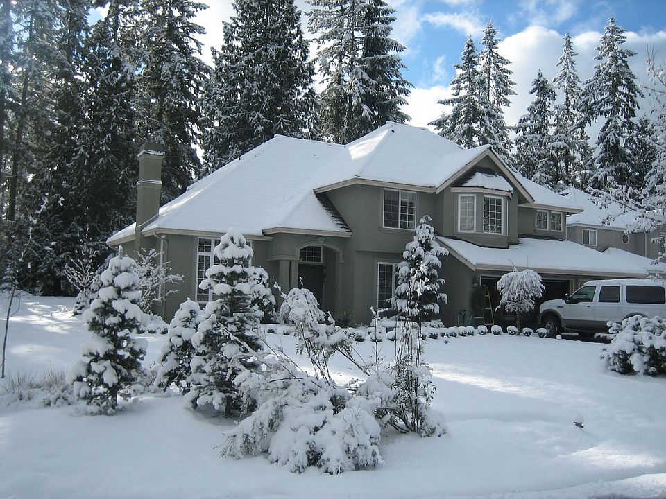 Winter wonderland