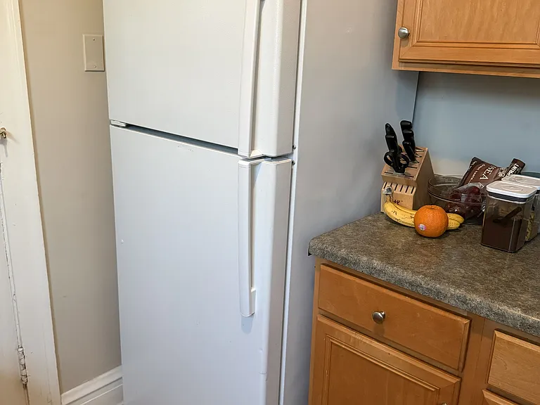 4891 N Hermitage Ave #3C — Photo 9