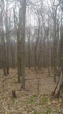 2nd image of 913 Quebec Rd