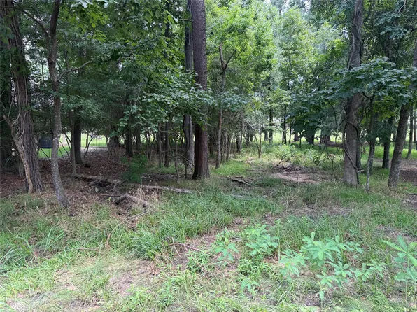 219 Brookhollow Dr, Huntsville, TX 77340