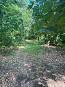Cavewood Rd, Rogers, AR, 72756
