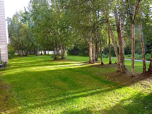 587 E Dowling Rd #42 Photo 1 587 E Dowling Rd #42 Photo 1