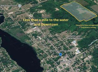 Clark Rd, Central Lake, MI 49622