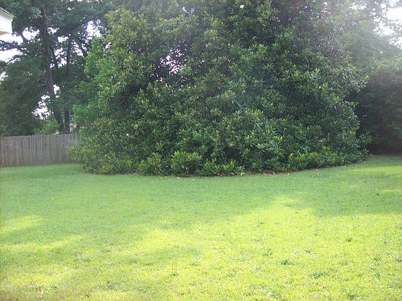 Large Level Fenced Backyard