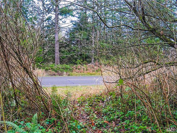 5th image of 31322 Old Hwy #99