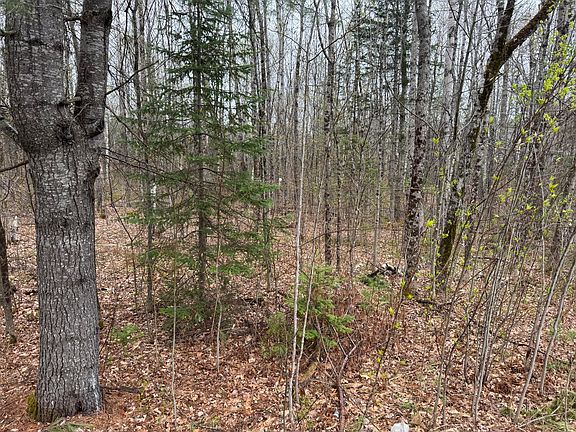 5th image of Lot 21 Bog Road