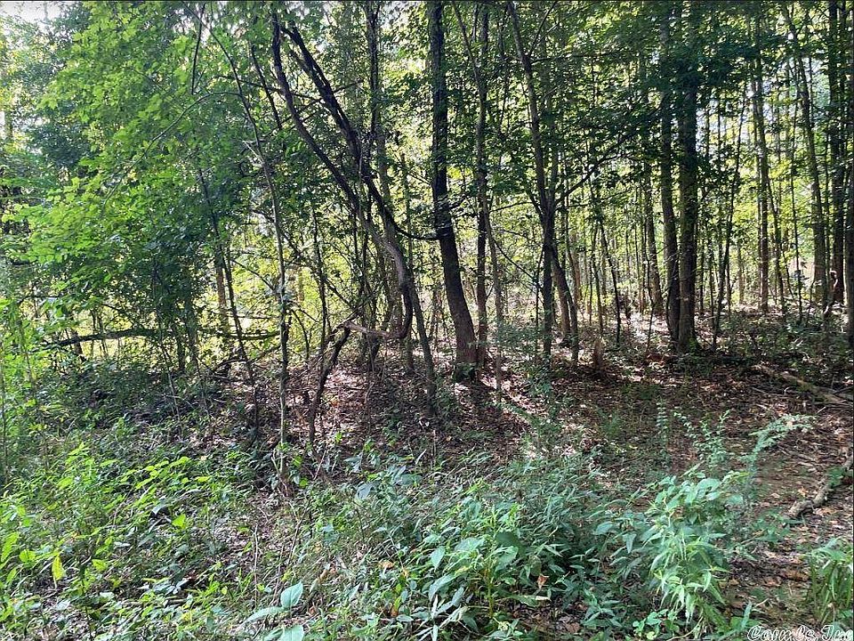 2nd image of 0 Coy Trl