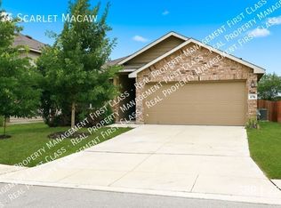 176 Scarlet Macaw, San Antonio, TX 78253