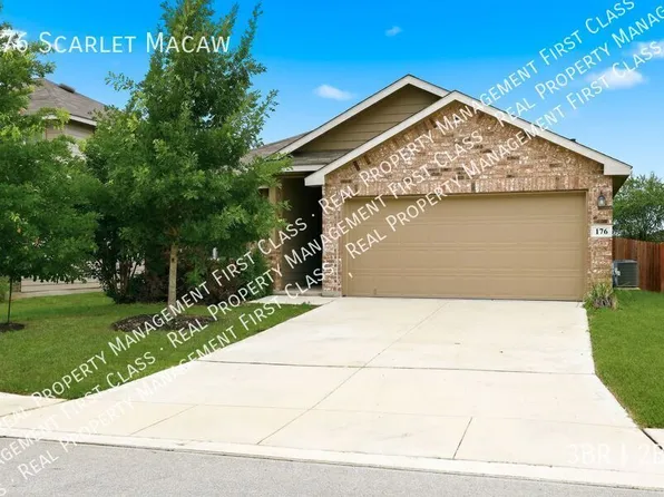 176 Scarlet Macaw, San Antonio, TX 78253