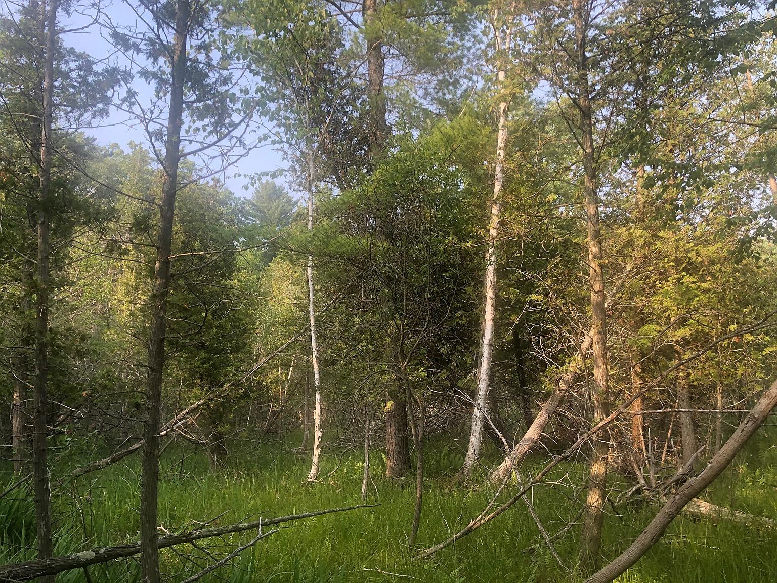 Lots 1 6 Portage Point Rd, Onekama, MI 49675 MLS 23022978 Zillow