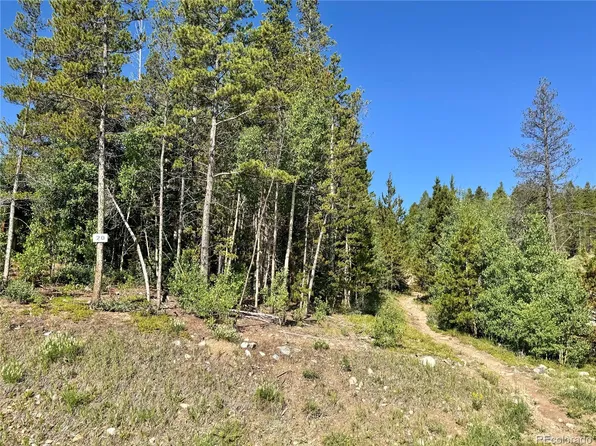 121 N Aspen Street LOT 20, Alma, CO 80420